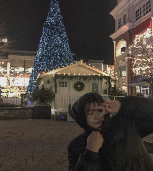 Shelly