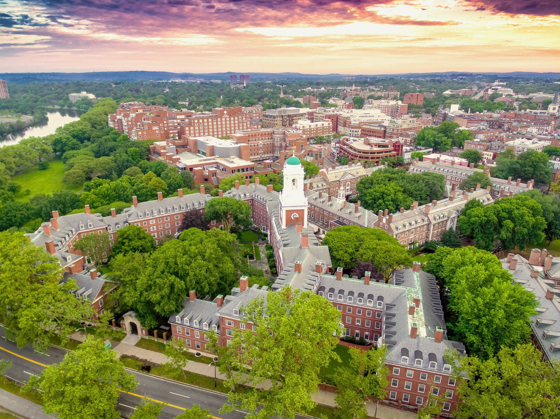 Harvard University 哈佛大學