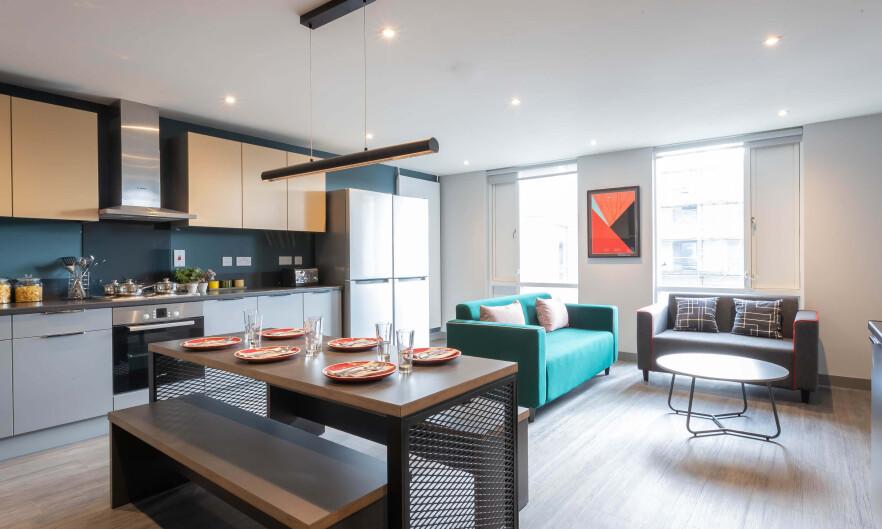 愛爾蘭 Shared House Apartment 校外合租
