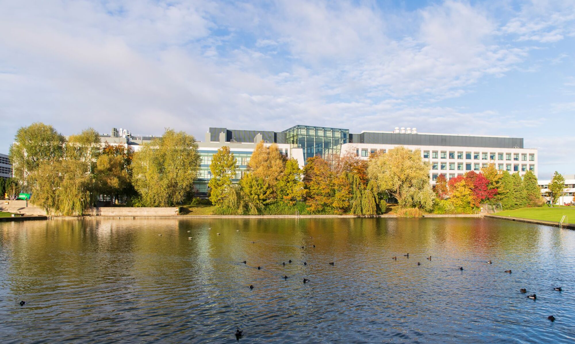 University College Dublin UCD 都柏林大學