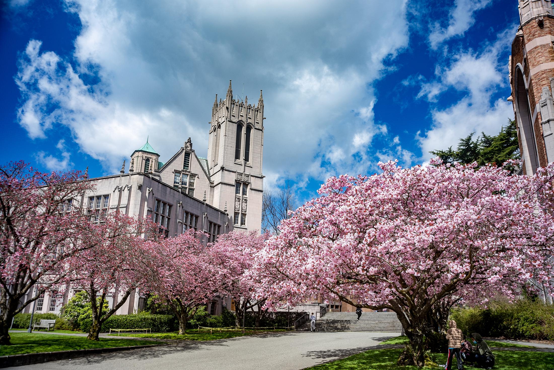 University of Washington UW 華盛頓大學