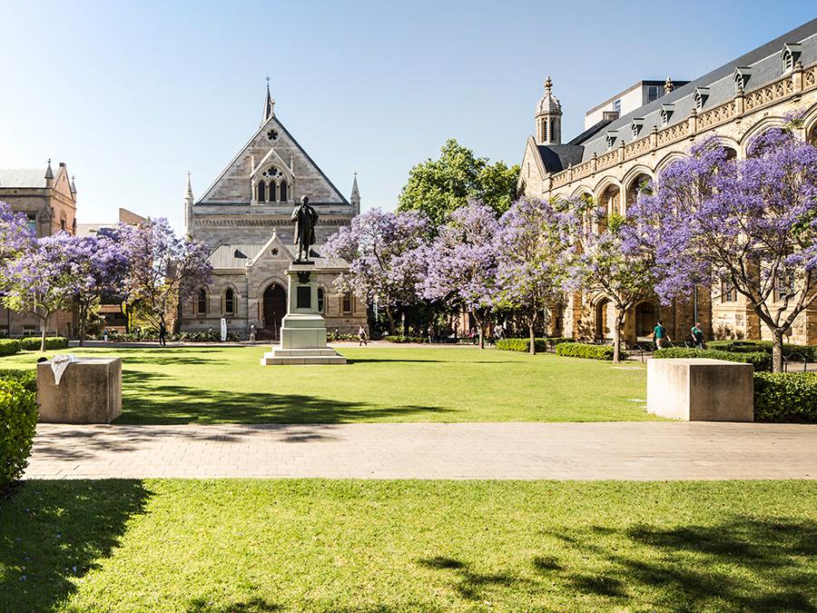 Adelaide University 阿德雷德大學校園