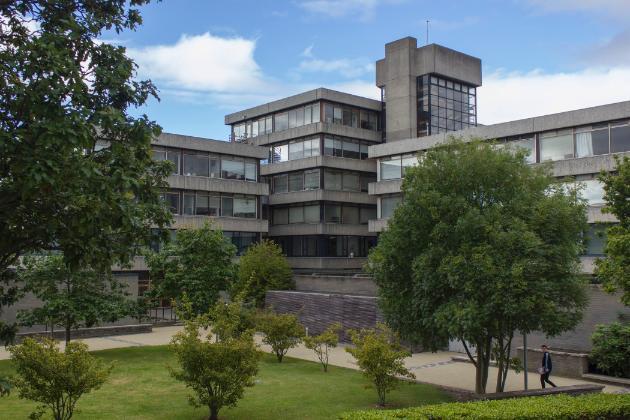 UCD College of Arts and Humanities 藝術與人文學院