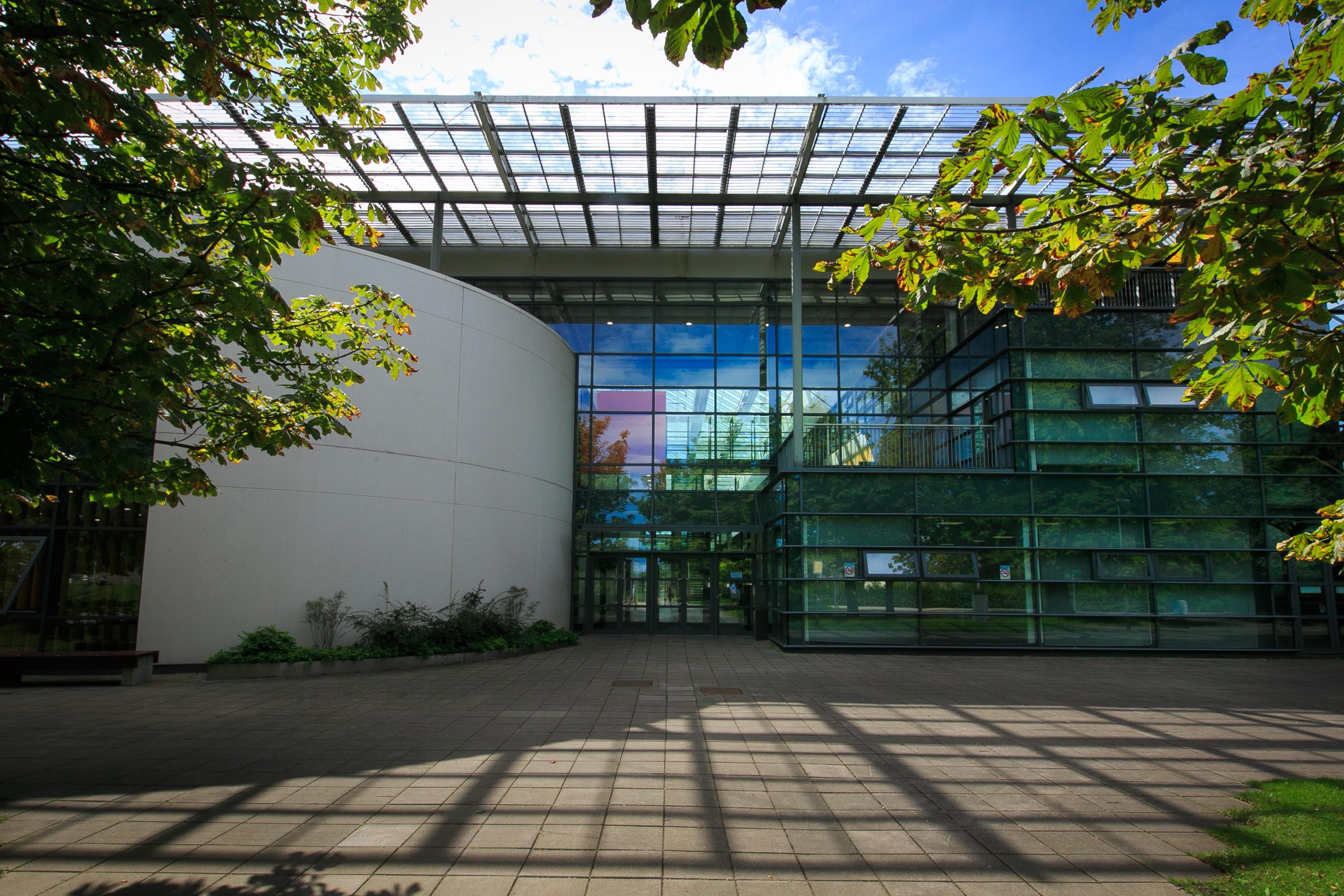 UCD College of Business 商學院