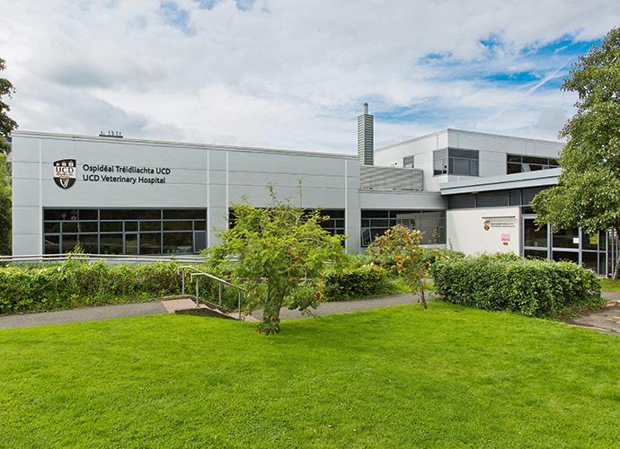 UCD College of Health and Agricultural Sciences 健康與農業科學學院